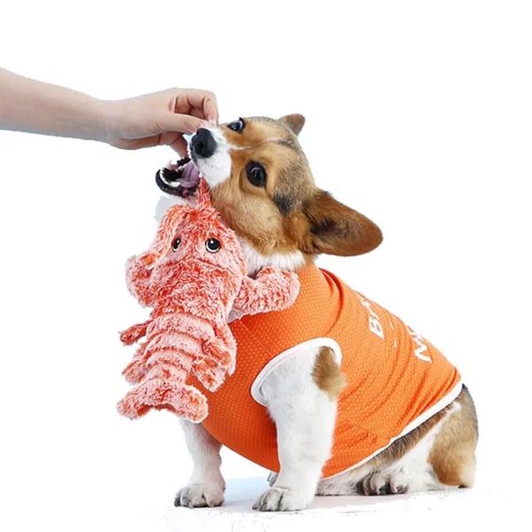 DogCatFri™ PlushToy - Interactief Pluchen Speelgoed Voor Huisdieren