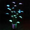 Afbeelding laden in galerijviewer, LediLeaves™  - Magische Kleurrijke Plant
