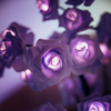 Leddi™ Rose - Voor Altijd Boom Lamp